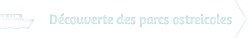 Découverte des parcs ostréicoles